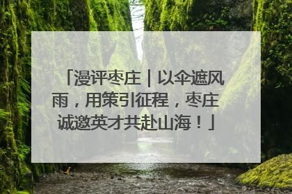 漫评枣庄｜以伞遮风雨，用策引征程，枣庄诚邀英才共赴山海！